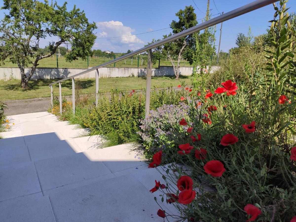 Domaine Des Arts Otel Dompierre  Dış mekan fotoğraf